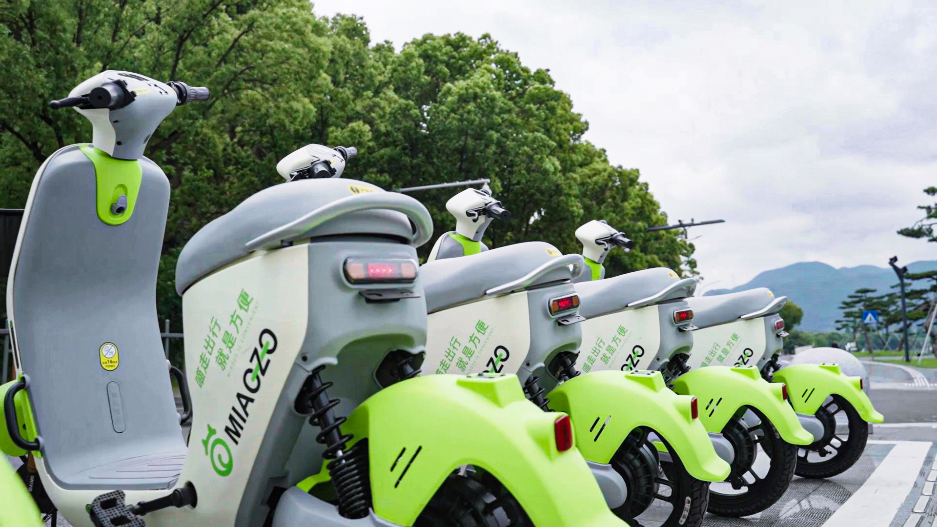 景區投放的共享電動車